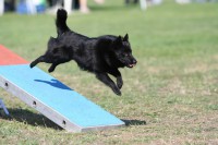 /album/sasokegyesulete/bizi-01-1-jpg/